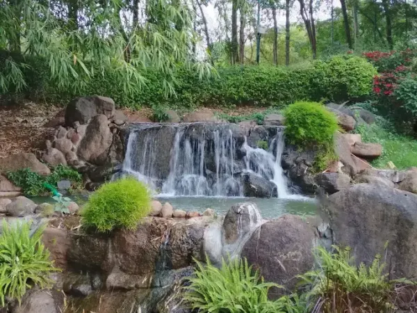 Waterfall at Pu La Deshpande Garden, one of the PMC gardens open till midnight on Kojagiri Purnima