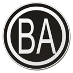 Some Specialized B.A. Courses