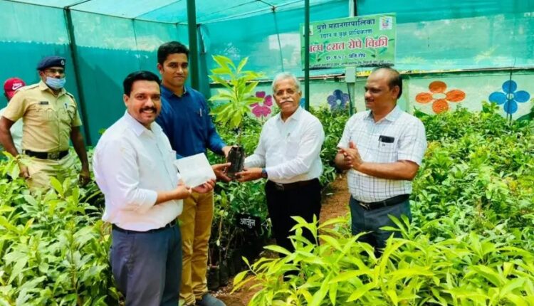 PMC's New Green Initiative-Buy any sapling in rupees 5